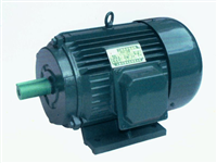 Y系列三相异步电机