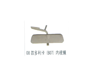 东风08款多利卡(B70)内视镜