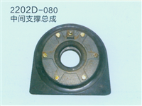 中间支撑总成2202D-080