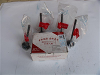 郑州日产皮卡QD32进排气门